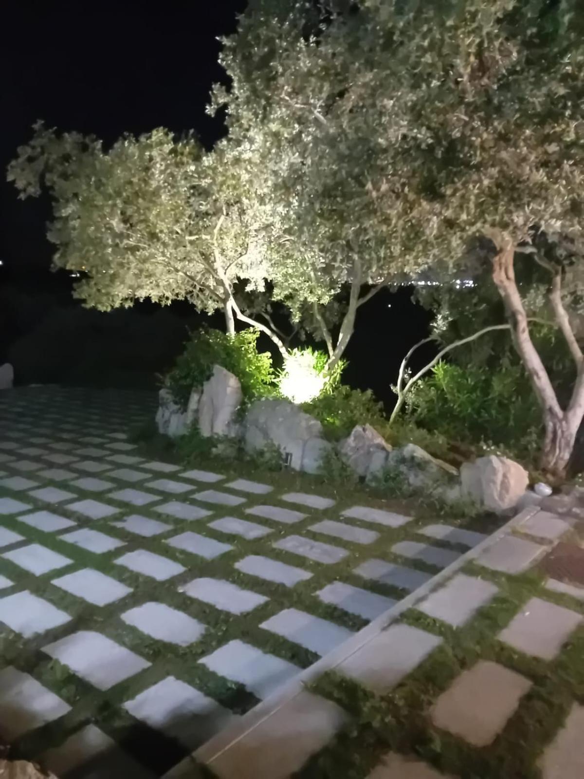 Li Petri Manni Panzió Olbia Kültér fotó